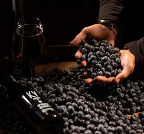 Koblia Vino вино без цукру